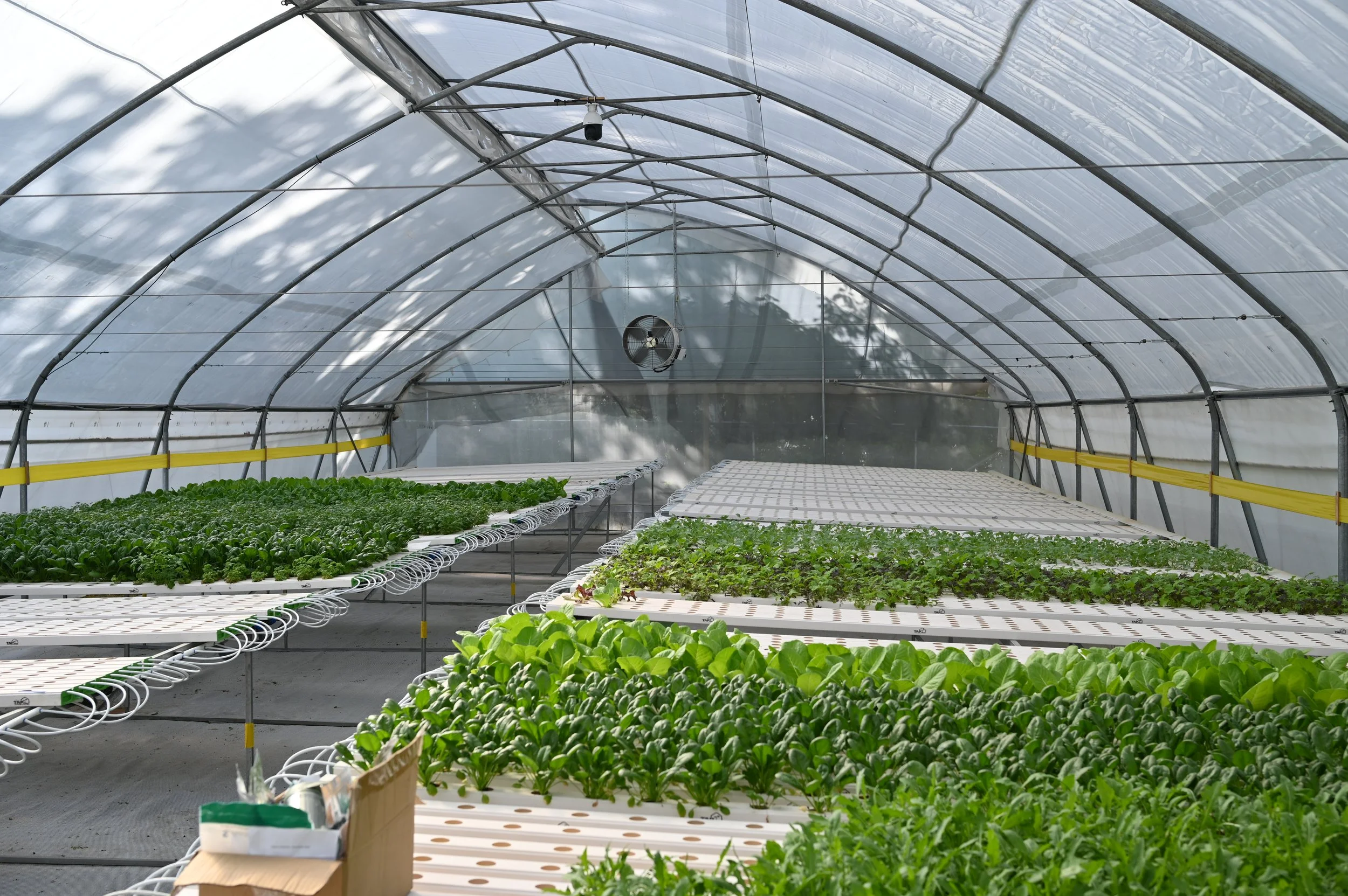 Hydroponics | GroZilla | TAPkit — Restorative Farms